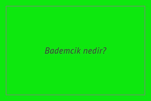 Bademcik nedir?