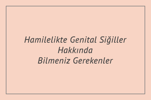 Hamilelikte Genital Siğiller Hakkında Bilmeniz Gerekenler