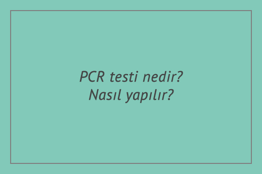 PCR testi nedir? Nasıl yapılır? PCR testi fiyatları ne kadar?