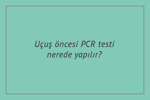 ucus oncesi pcr testi nerede yapilir yurtdisi yurtici