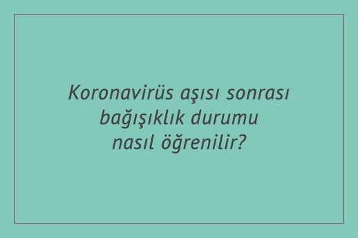 Koronavirüs aşısı sonrası bağışıklık durumu nasıl öğrenilir?