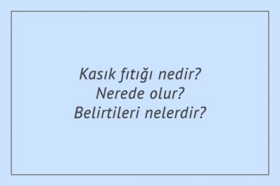 Kasık fıtığı nedir? Nerede olur? Belirtileri nelerdir?