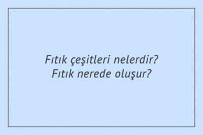 Fıtık çeşitleri nelerdir? Fıtık nerede oluşur?