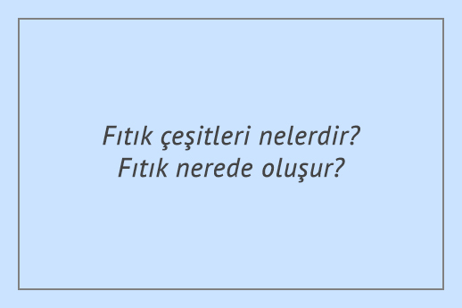 Fıtık çeşitleri nelerdir? Fıtık nerede oluşur?