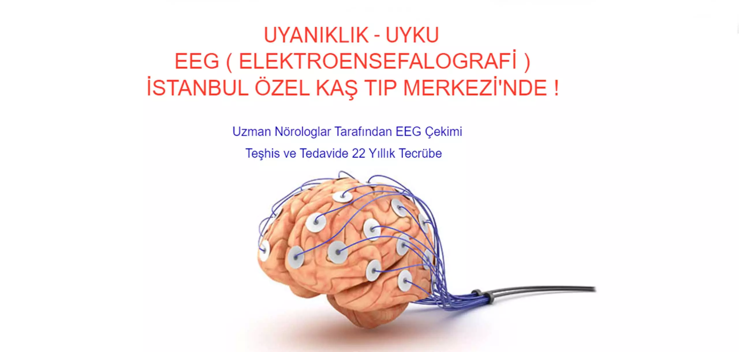 eeg (2)