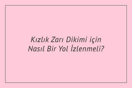 Kızlık Zarı Dikimi için Nasıl Bir Yol İzlenmeli?