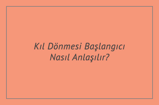 Kıl Dönmesi Başlangıcı Nasıl Anlaşılır?