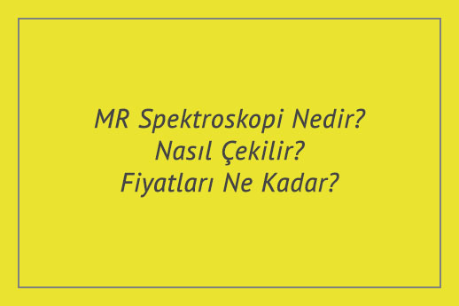 MR Spektroskopi Nedir? Nasıl Çekilir? Fiyatları Ne Kadar?