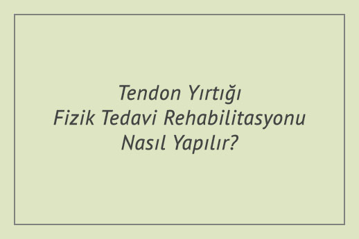 Tendon Yırtığı Fizik Tedavi Rehabilitasyonu Nasıl Yapılır?
