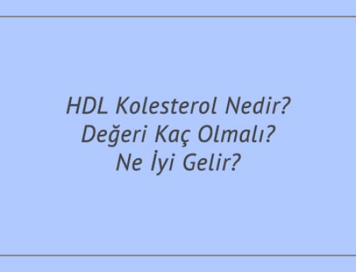 HDL Kolesterol Nedir? Değeri Kaç Olmalı? Ne İyi Gelir?