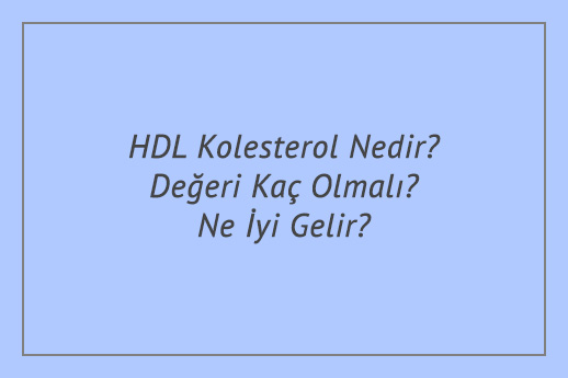 HDL Kolesterol Nedir? Değeri Kaç Olmalı? Ne İyi Gelir?