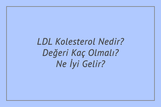 LDL Kolesterol Nedir? Değeri Kaç Olmalı? Ne İyi Gelir?