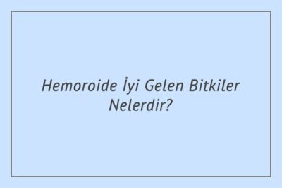 Hemoroide İyi Gelen Bitkiler Nelerdir?