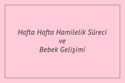 Hafta Hafta Hamilelik Süreci ve Bebek Gelişimi
