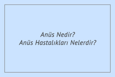 Anüs Nedir? Anüs Hastalıkları Nelerdir?