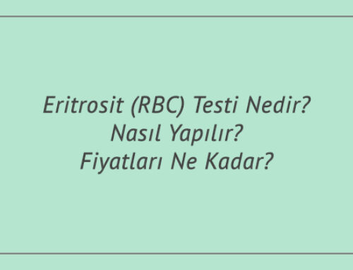 Eritrosit (RBC) Testi Nedir? Nasıl Yapılır? Fiyatları Ne Kadar?