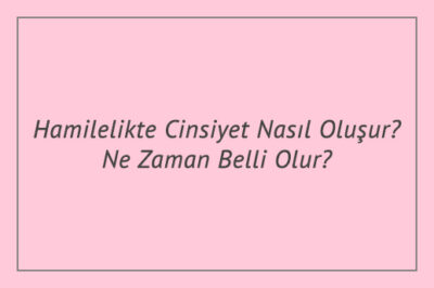 Hamilelikte Cinsiyet Nasıl Oluşur Ne Zaman Belli Olur