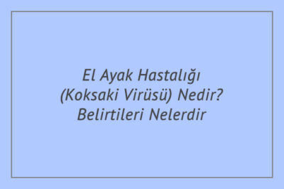 El Ayak Hastalığı (Koksaki Virüsü) Nedir? Belirtileri Nelerdir?