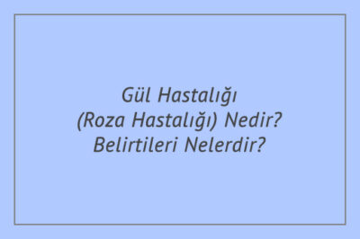 Gül Hastalığı (Roza Hastalığı) Nedir? Belirtileri Nelerdir?