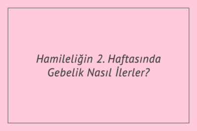 Hamileliğin 2. Haftasında Gebelik Nasıl İlerler?