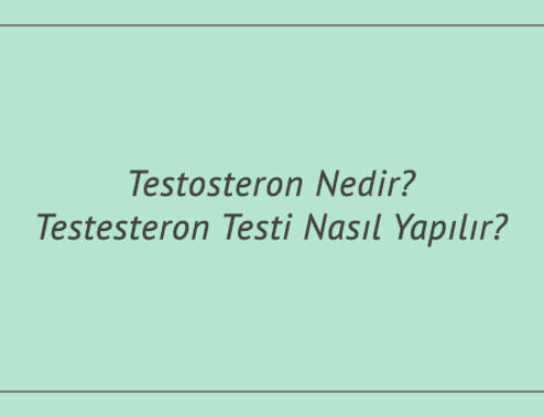 Testosteron Nedir? Testesteron Testi Nasıl Yapılır?