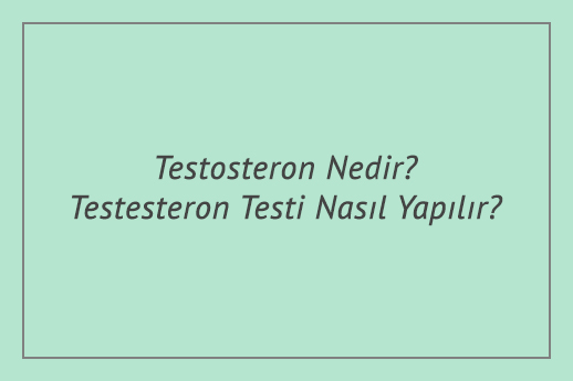Testosteron Nedir? Testesteron Testi Nasıl Yapılır?