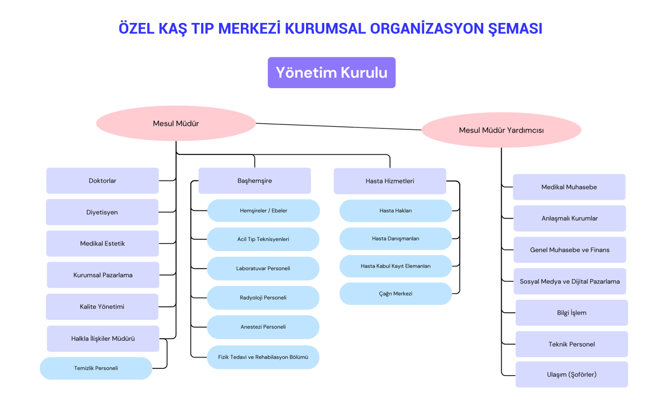 organizasyon şeması